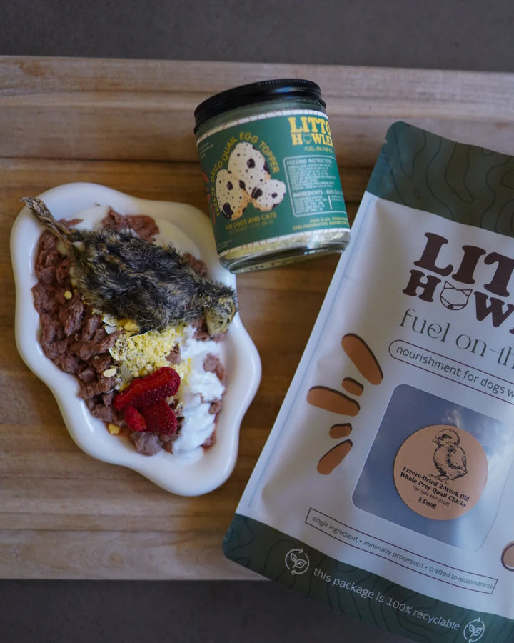 Freeze-Dried Whole Prey 2-Week Old Quail Chicks | Litto Howler