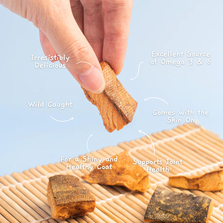 Freeze Dried Wild Salmon