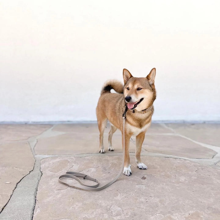 Apex | Ultralight & Skinny Leash