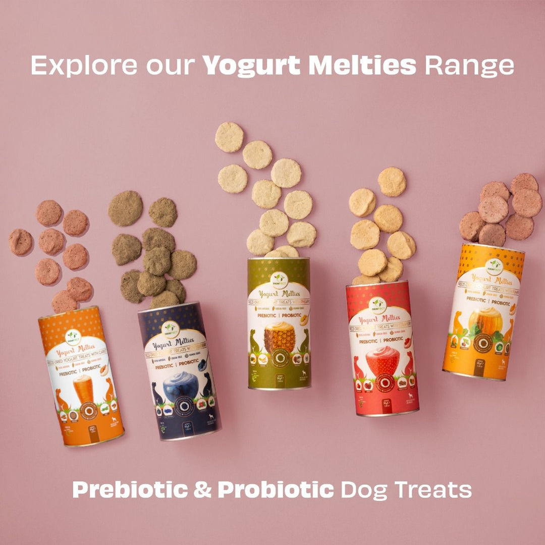 Yogurt Melties with Strawberry, Apple, Papaya & Burdock Root