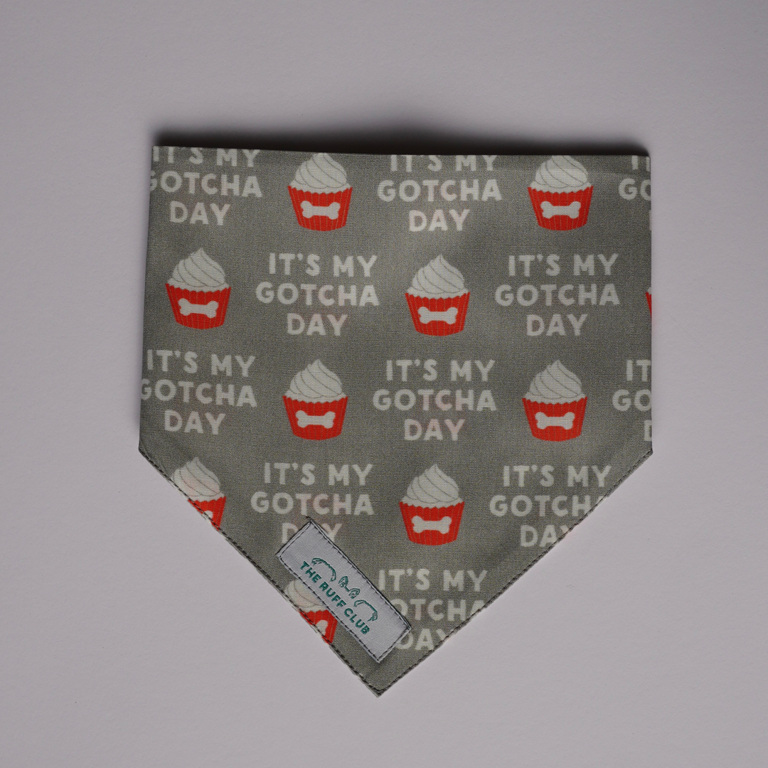 Grey Gotcha Day | Pet Bandana Collection