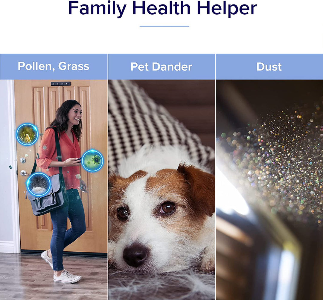 Levoit Core  Smart WiFi Air Purifier Dust Sensor - For Pets