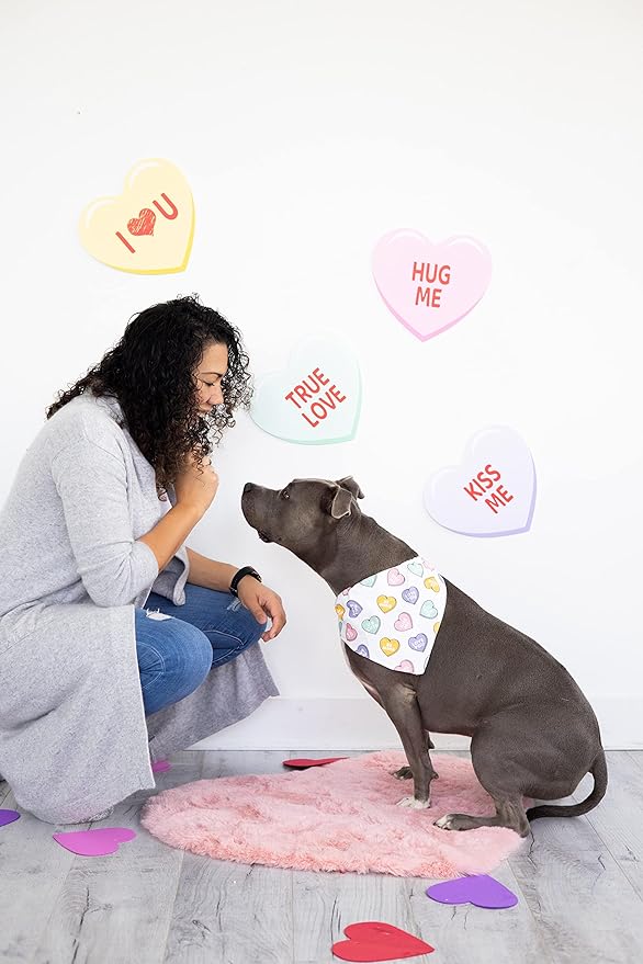 Pearhead Candy Hearts Pet Bandana - M/L