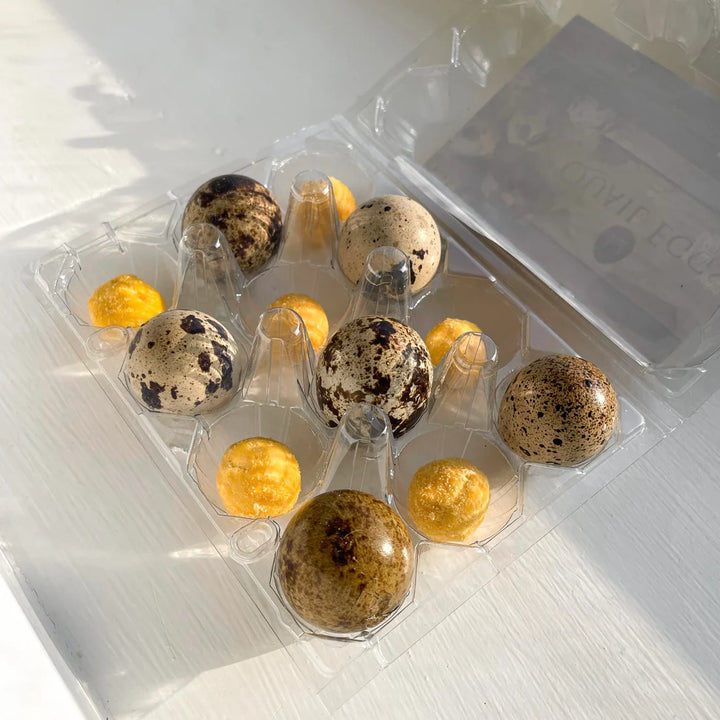 Freeze-Dried Quail Egg Yolk