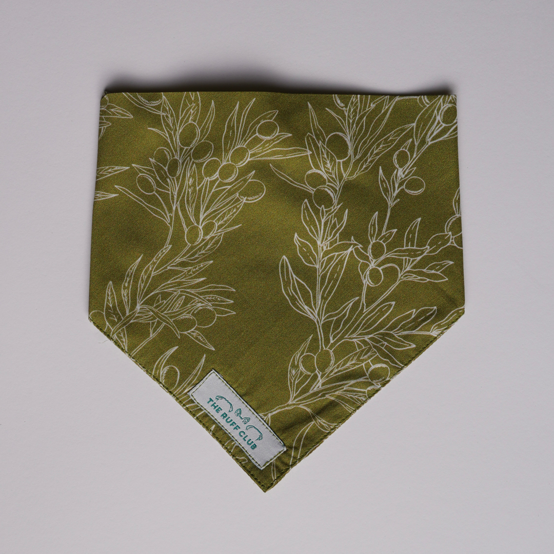 Olive Grove | Pet Bandana Collection