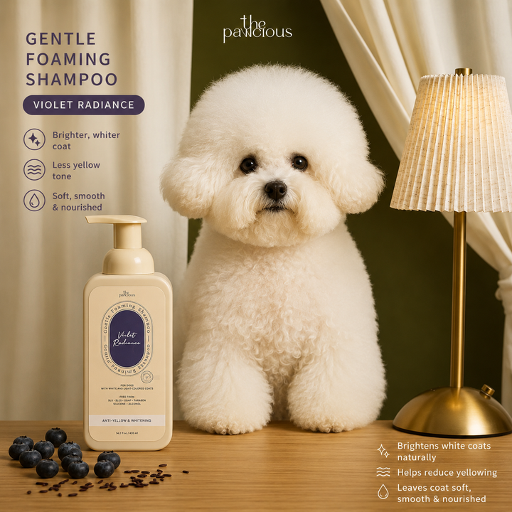 The Pawcious Whitening Foaming Shampoo | The Pawcious