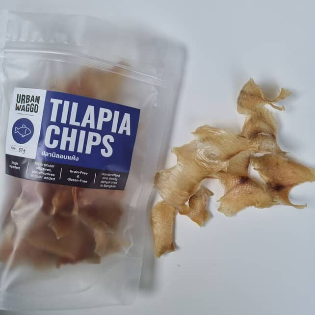Tilapia