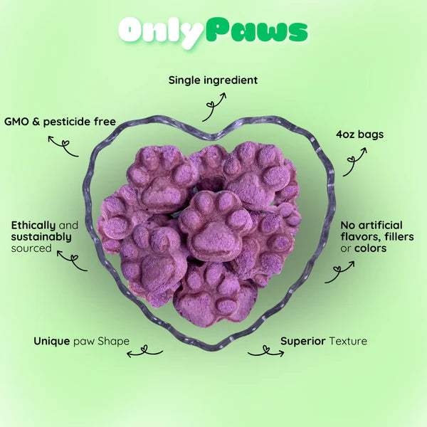 Freeze Dried Ube