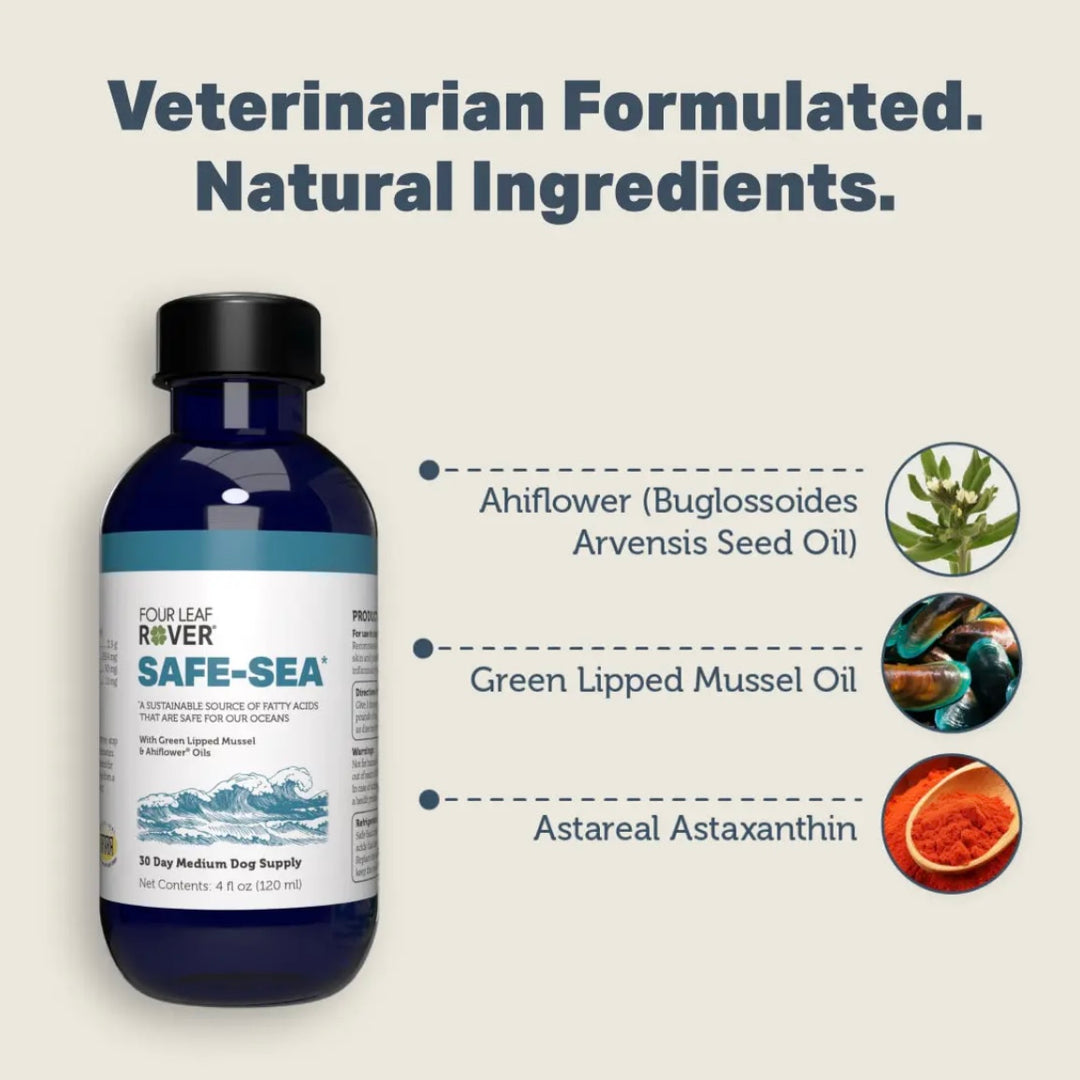 Safe Sea