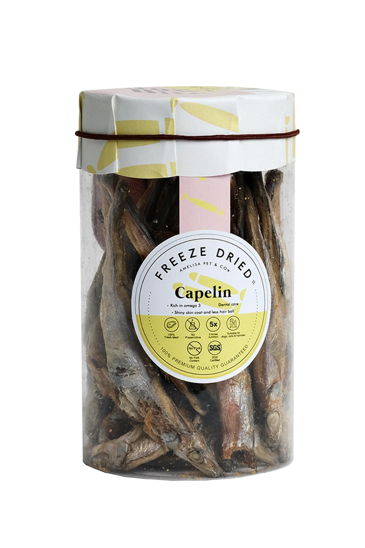 Rawly Bites | Freeze-Dried Capelin