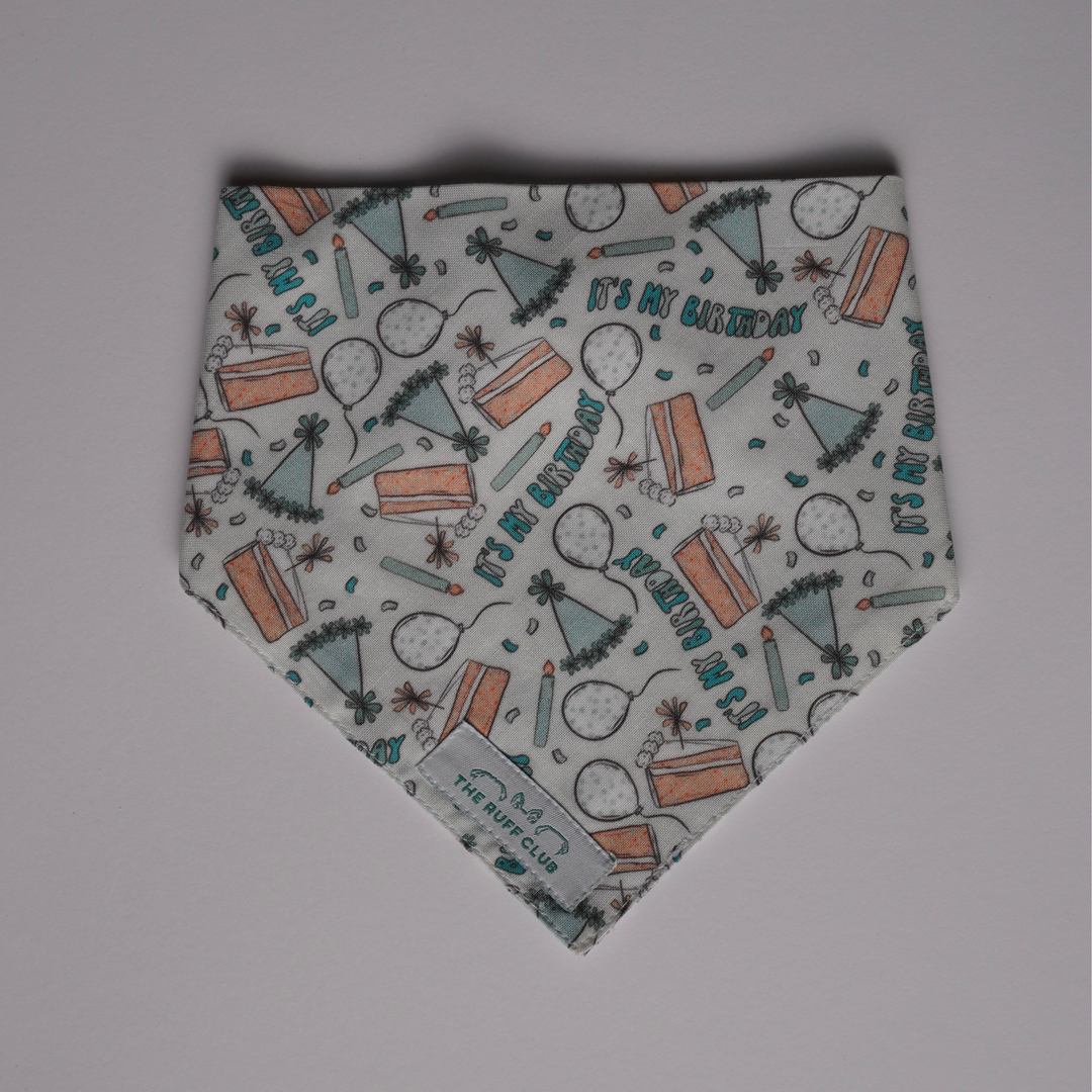 Blue Barkday Doodles | Pet Bandana Collection