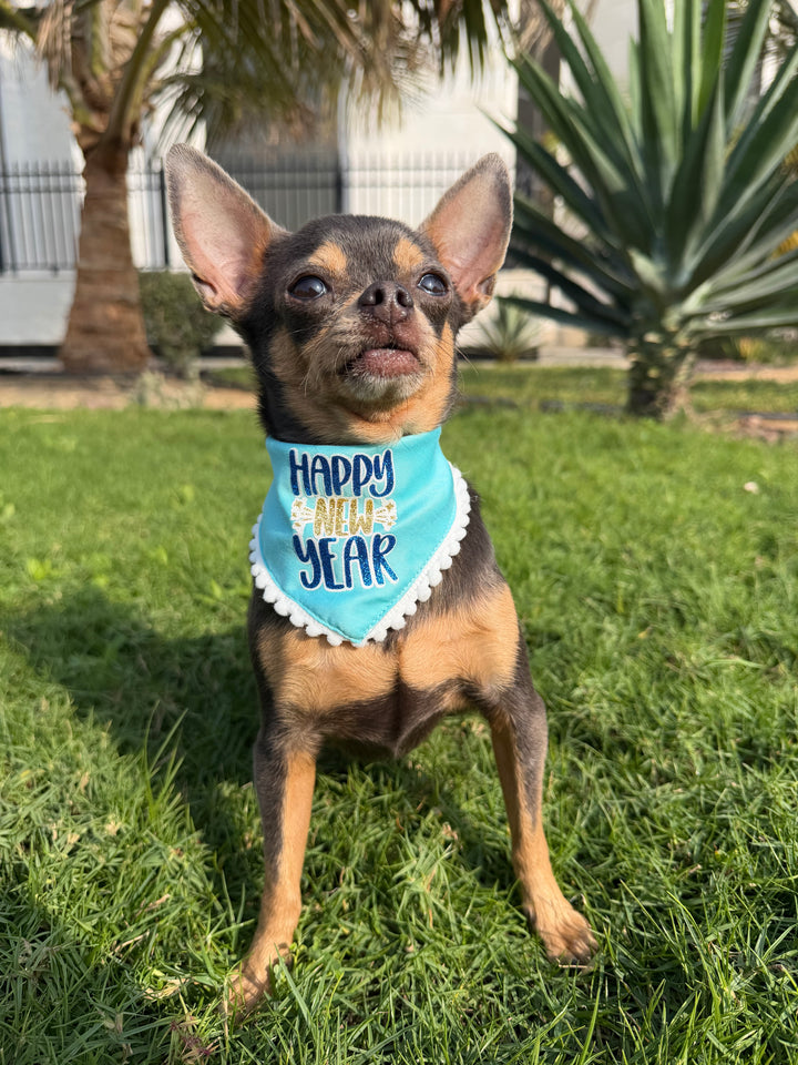 Happy New Year | New Year Bandana Collection