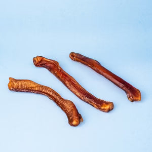 Beef Pizzle Air Dried Chews