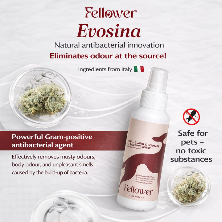 Outdoor Intimate Cleansing Spray