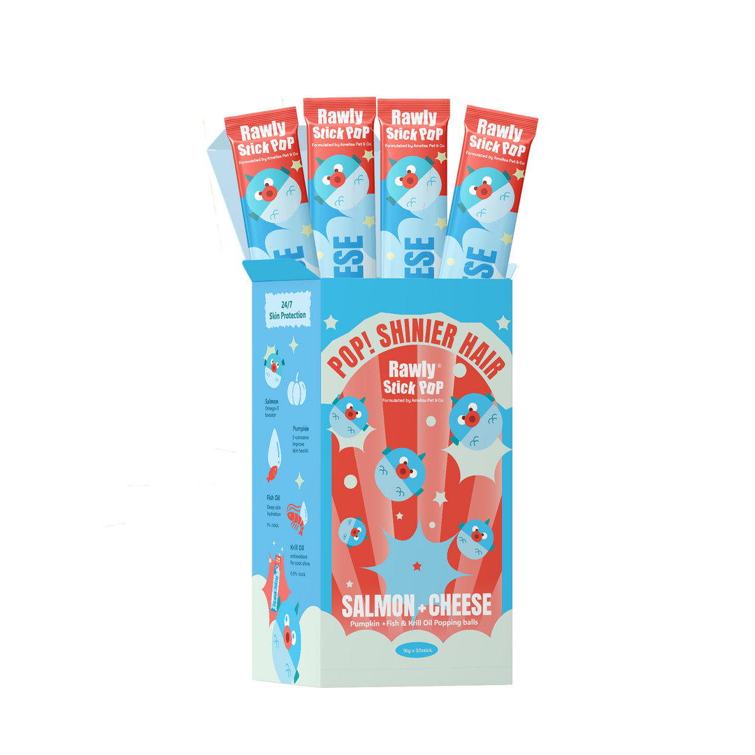 Rawly Stick POP | Salmon & Cheese