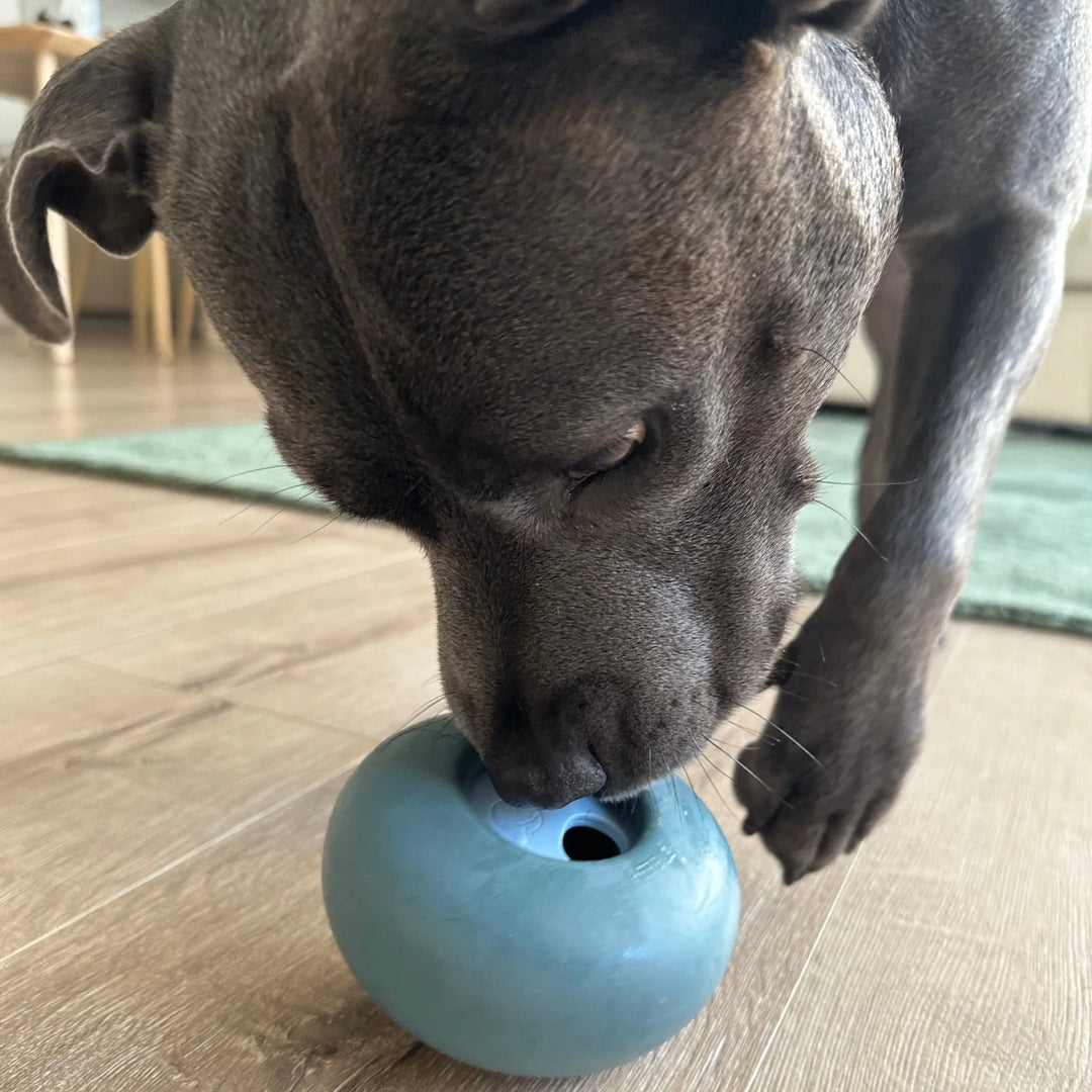 Pebble | All-in-One Puzzle Toy
