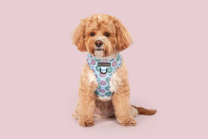 Adjustable Dog Harness | Donut Kill My Vibe