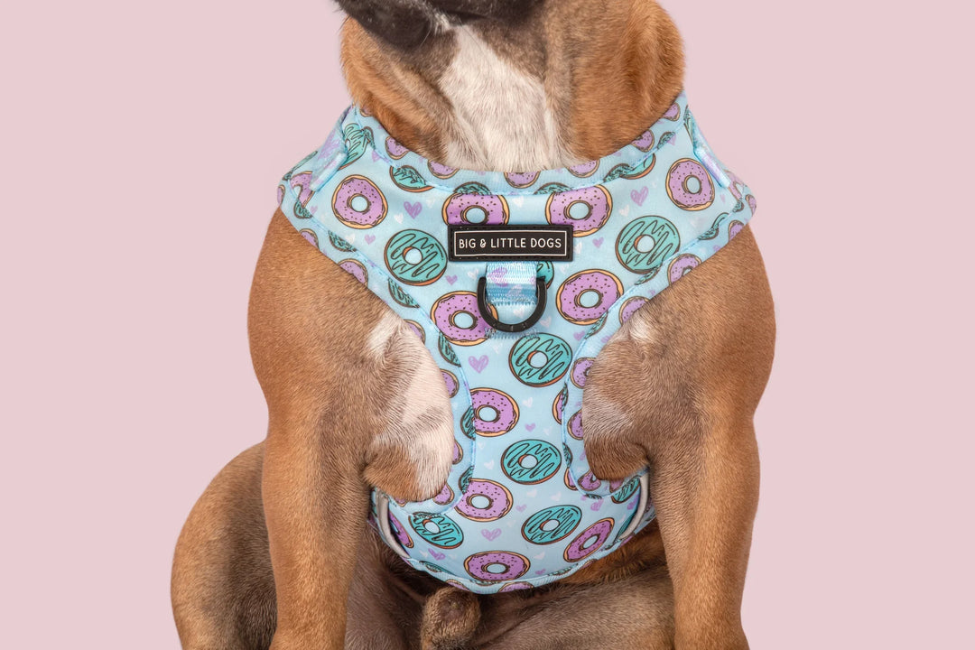 Adjustable Dog Harness | Donut Kill My Vibe