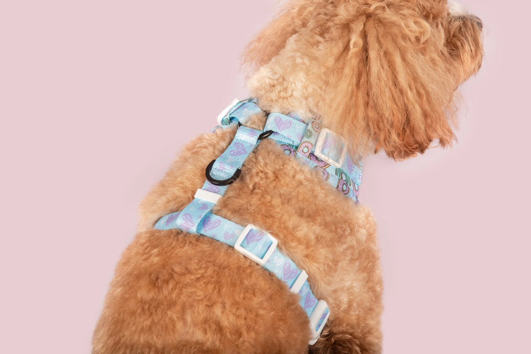 Adjustable Dog Harness | Donut Kill My Vibe