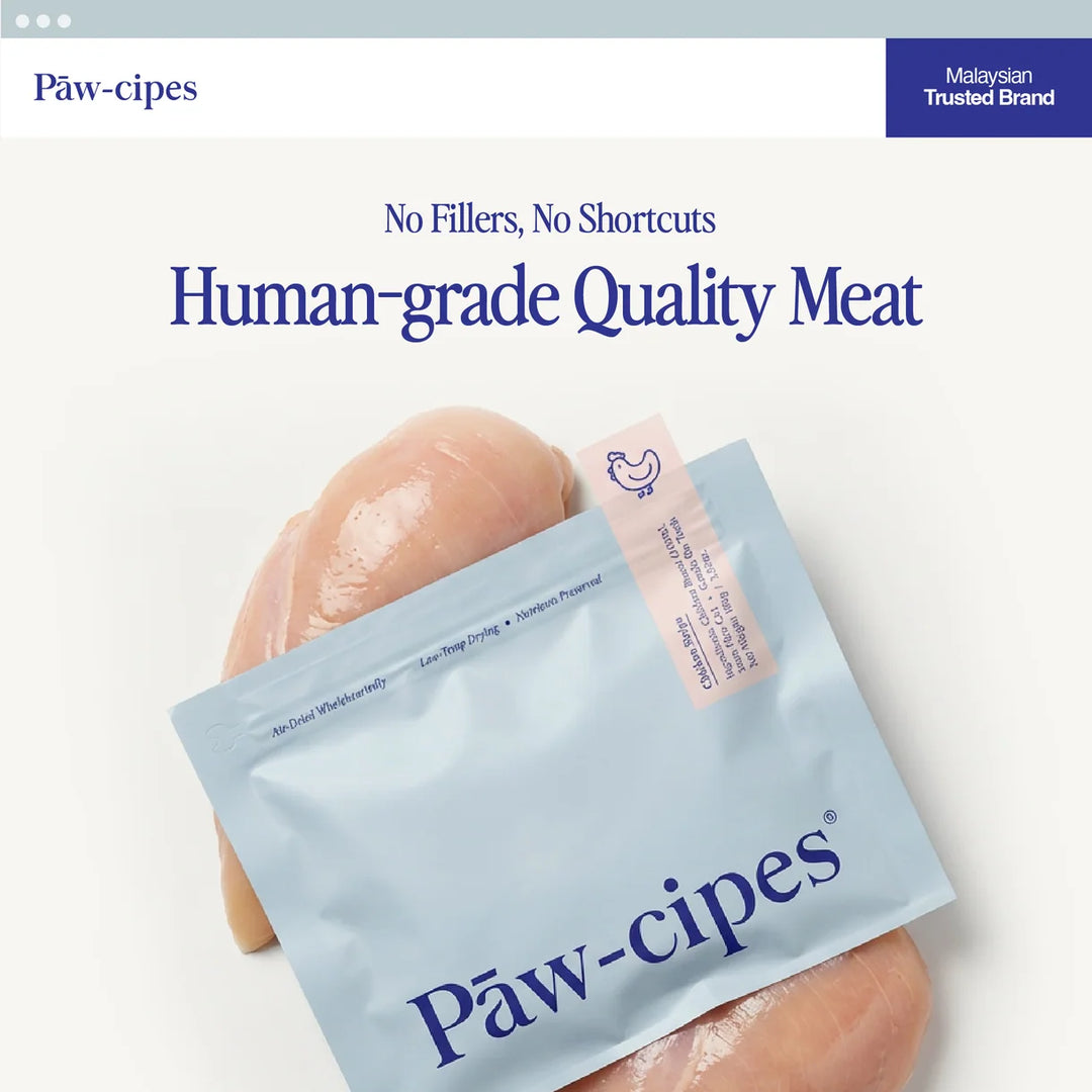 Air-Dried Chicken Strips