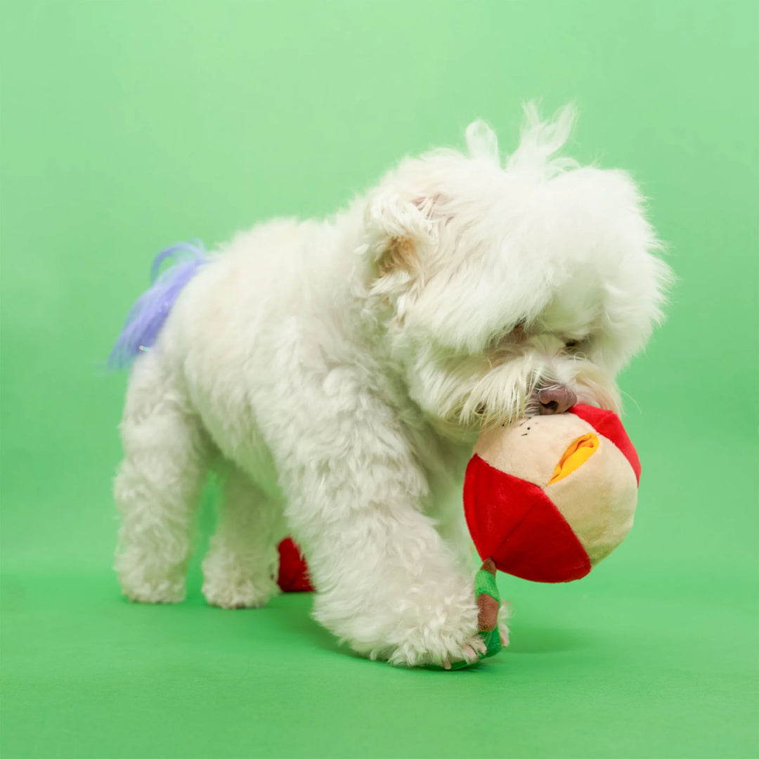Apple Nosework Toy