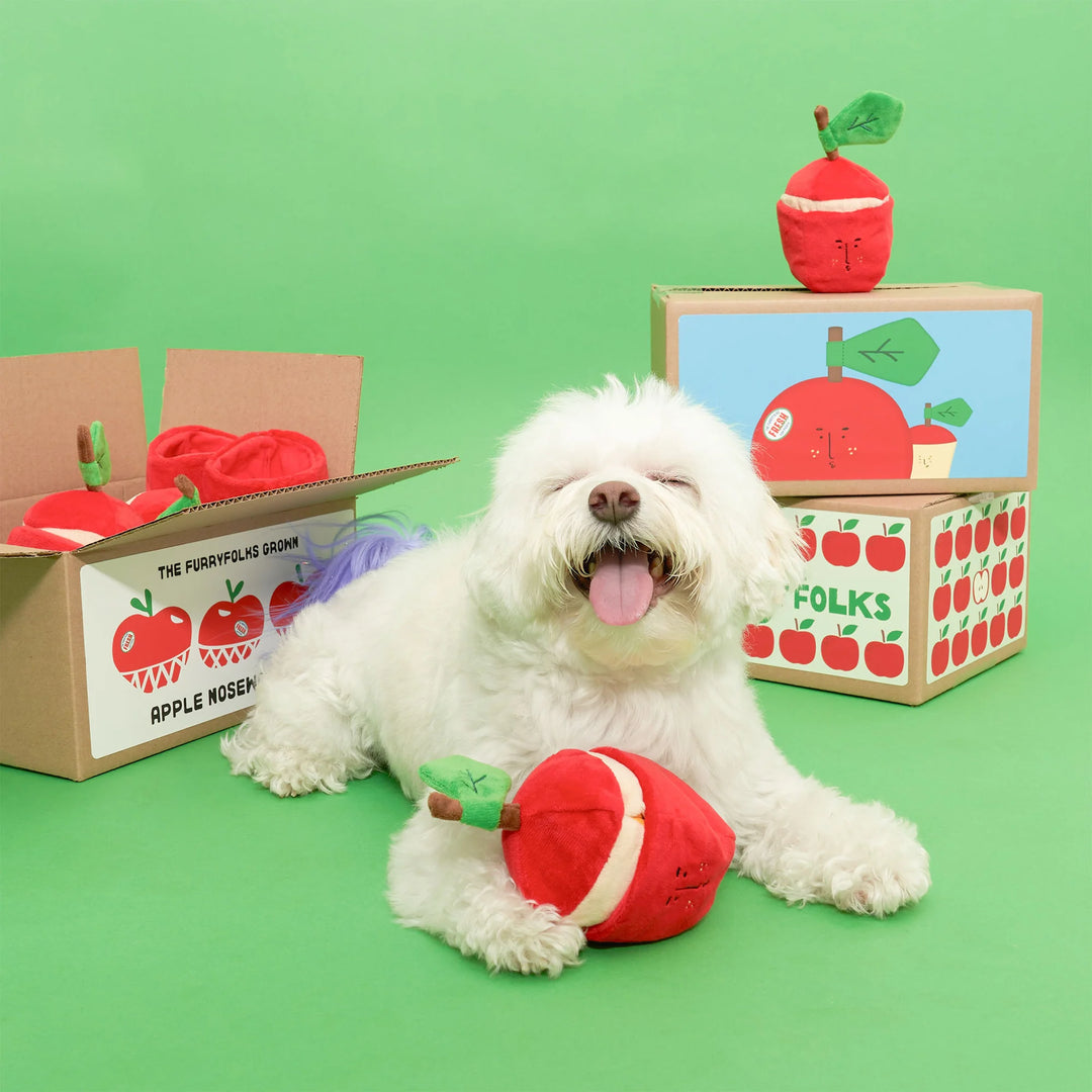 Apple Nosework Toy