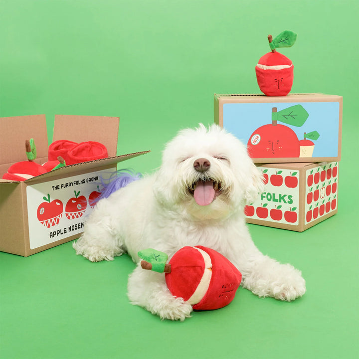 Apple Nosework Toy
