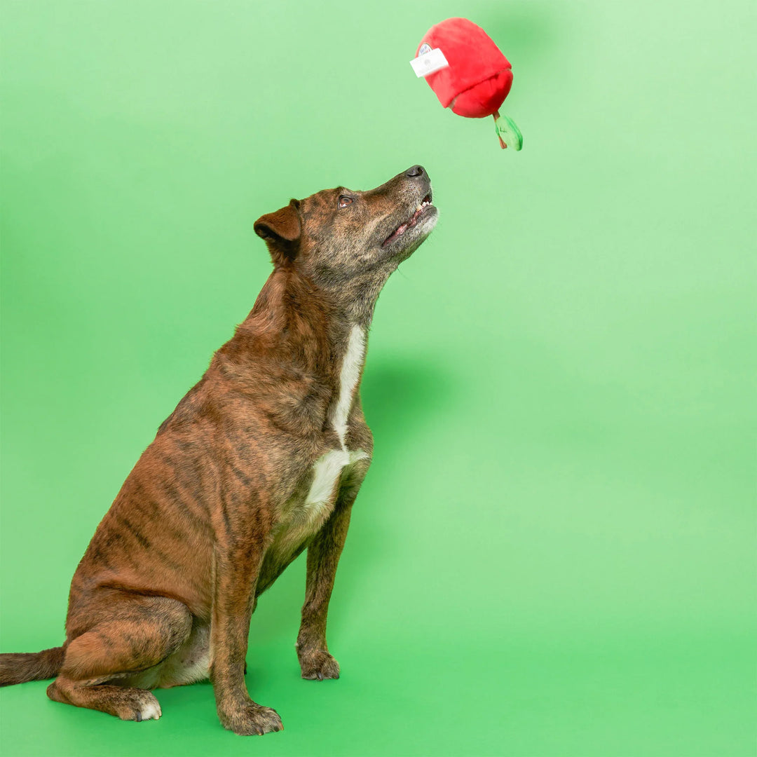 Apple Nosework Toy