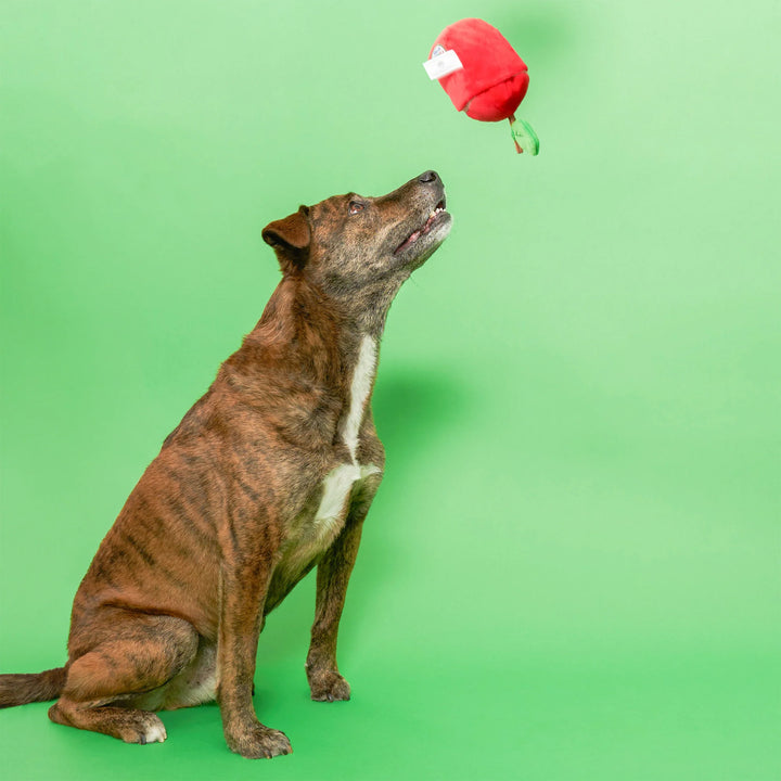 Apple Nosework Toy