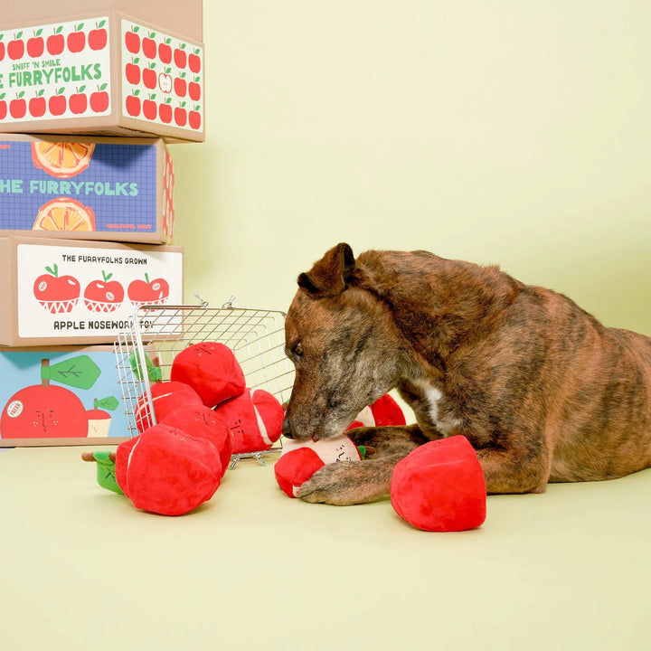 Apple Nosework Toy