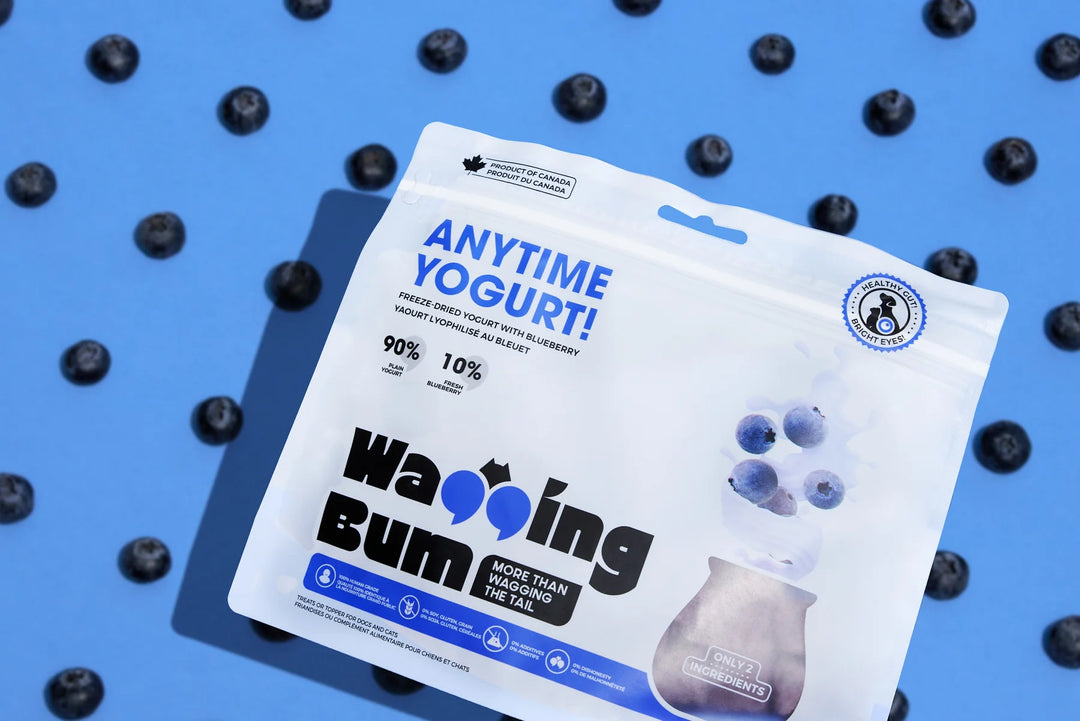 Freeze-dried Yogurt with Blueberry