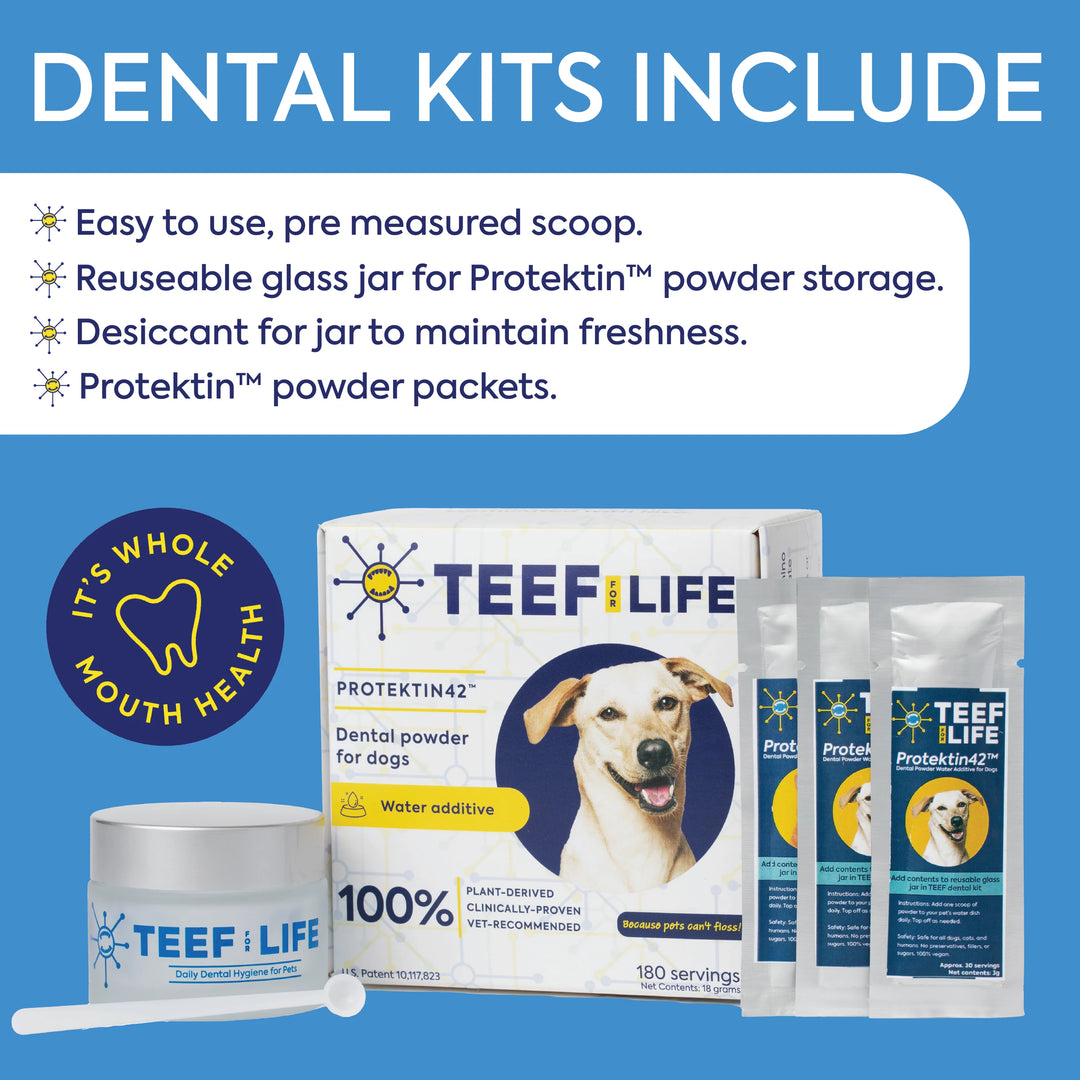 Dental Kits: Protektin42K - Prebiotic Dental Powder for All Pets