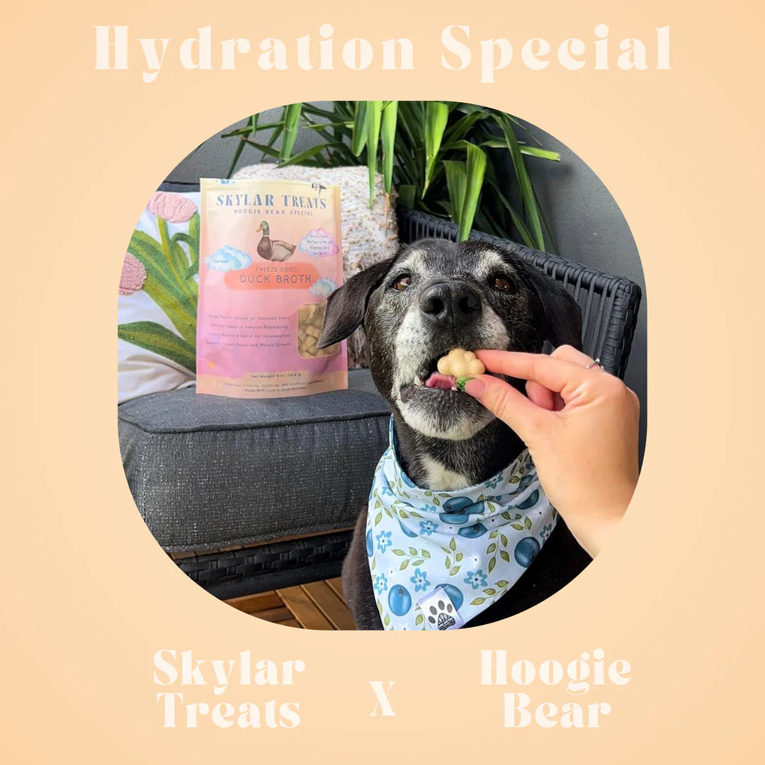 Freeze Dried Duck Broth