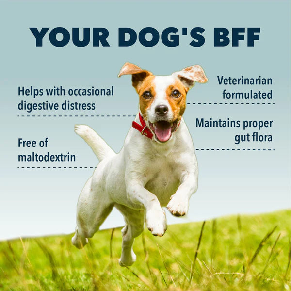 Bifido For Fido - Gut Health For Dogs