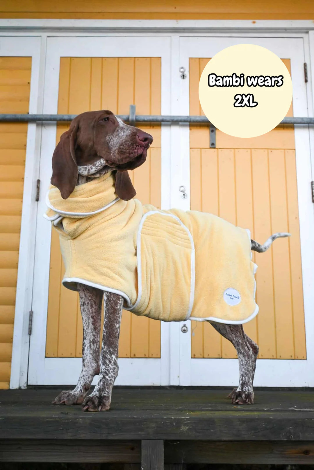 Dog Drying Coat | Butter Yellow
