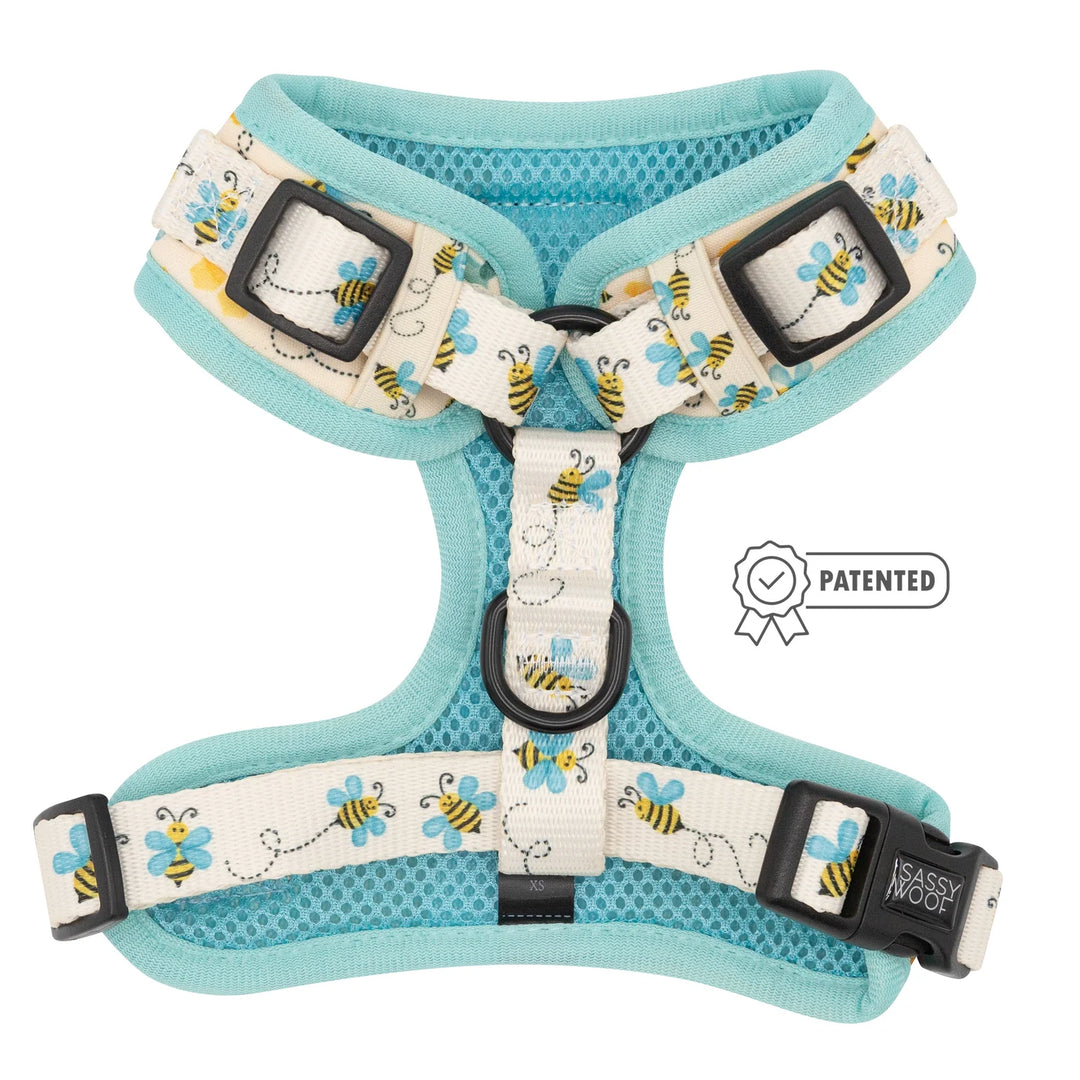 Adjustable Dog Harness | Bee Sassy