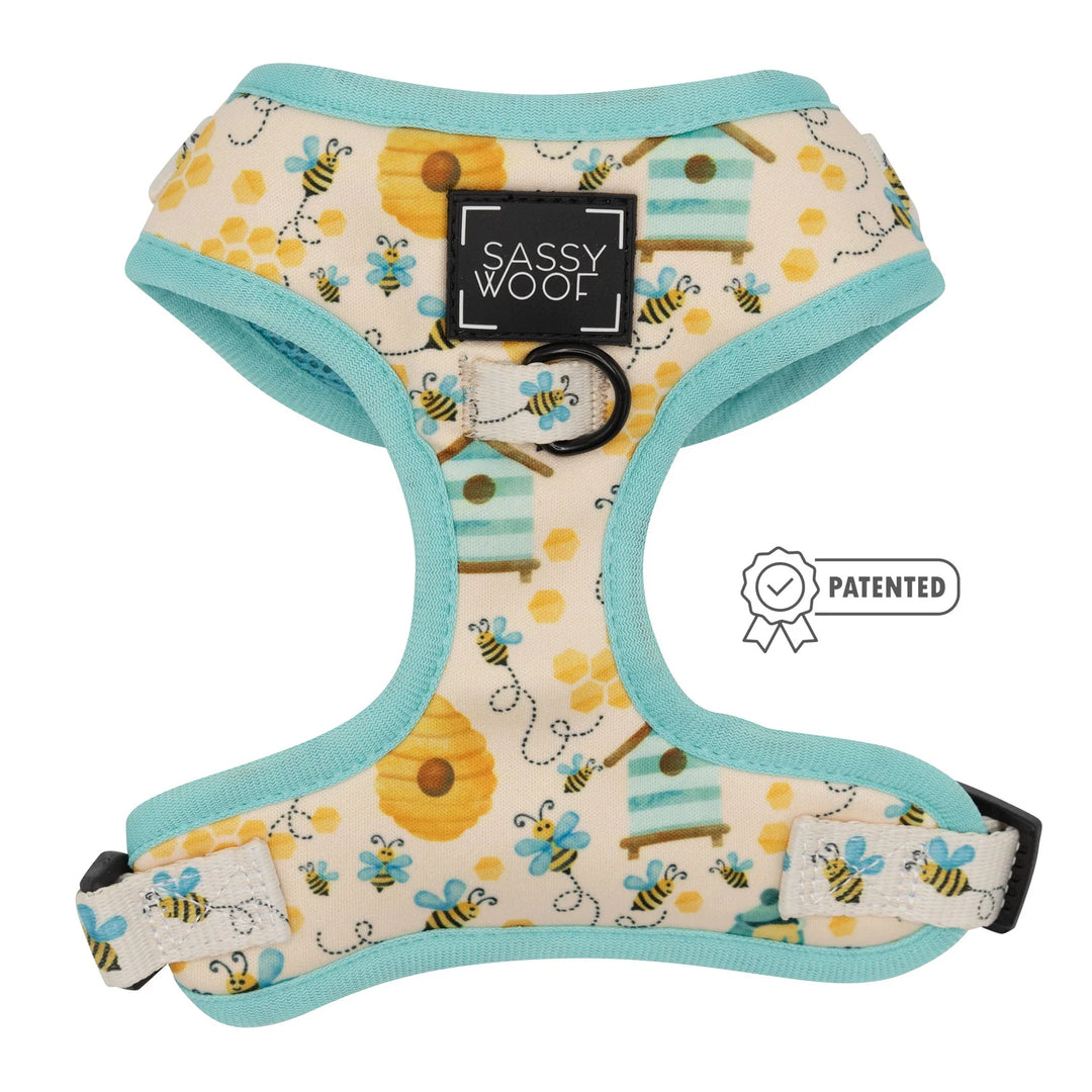 Adjustable Dog Harness | Bee Sassy