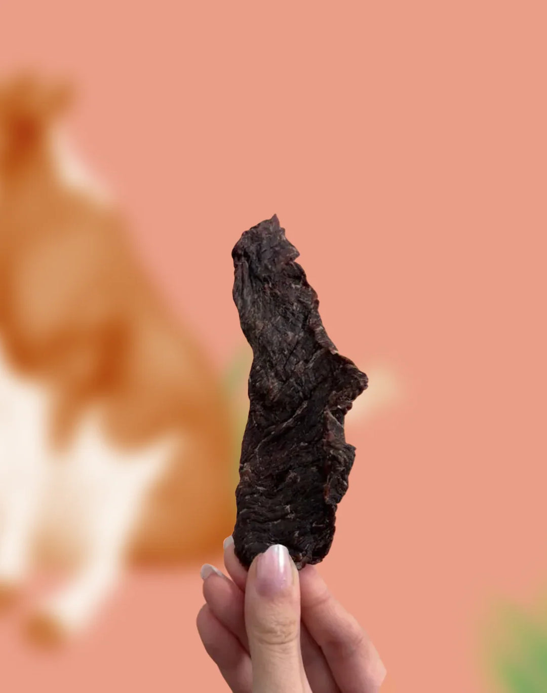 Beef Jerky
