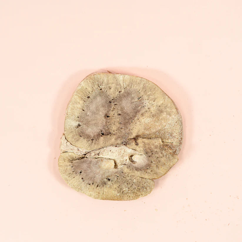 Freeze Dried Beef Kidney