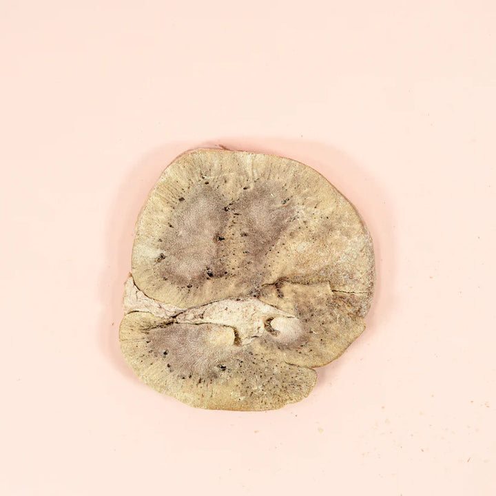Freeze Dried Beef Kidney