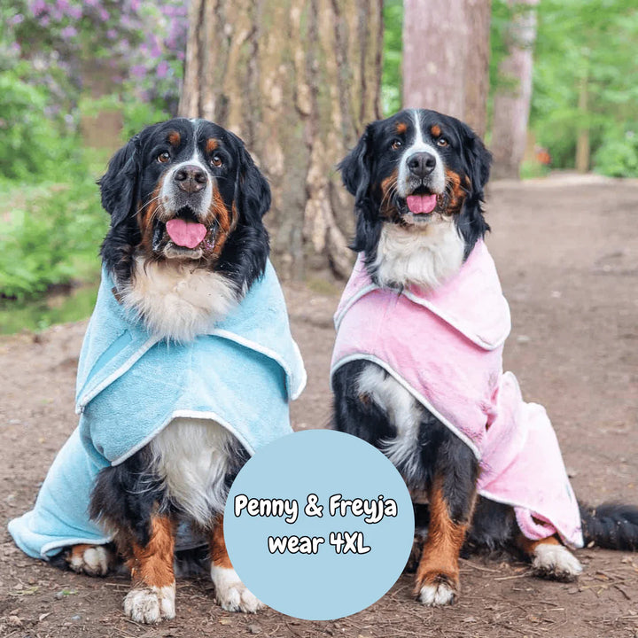 Dog Drying Coat | Candy Floss Blue
