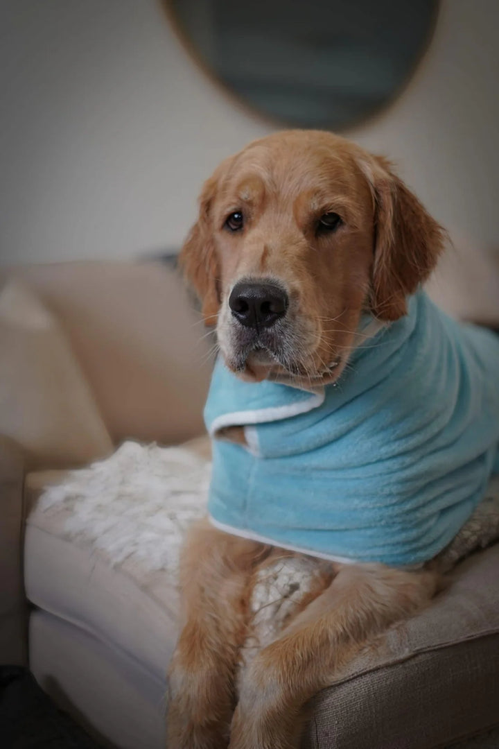 Dog Drying Coat | Candy Floss Blue