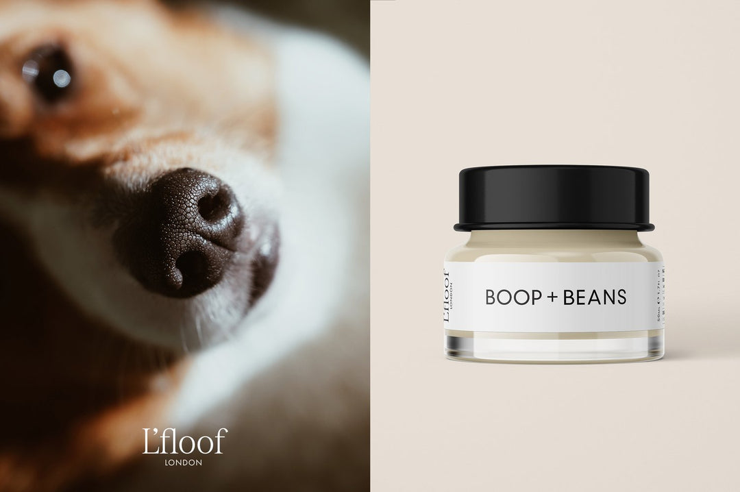 BOOP + BEANS by L'floof London