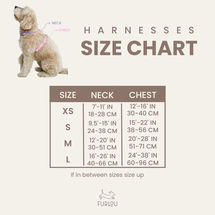 Dog Harness | Lavender and Pink