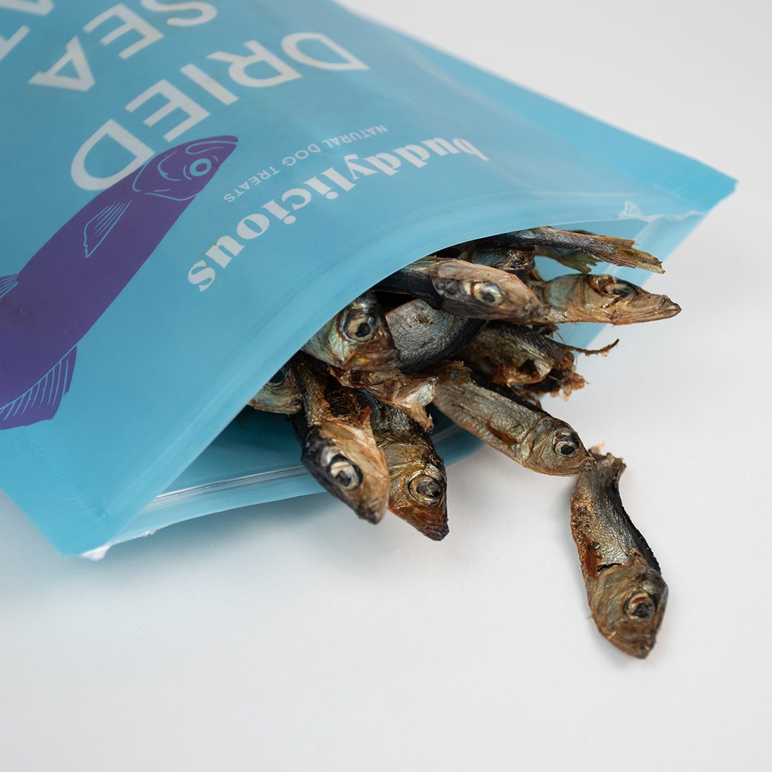 Dried Sea Sprat