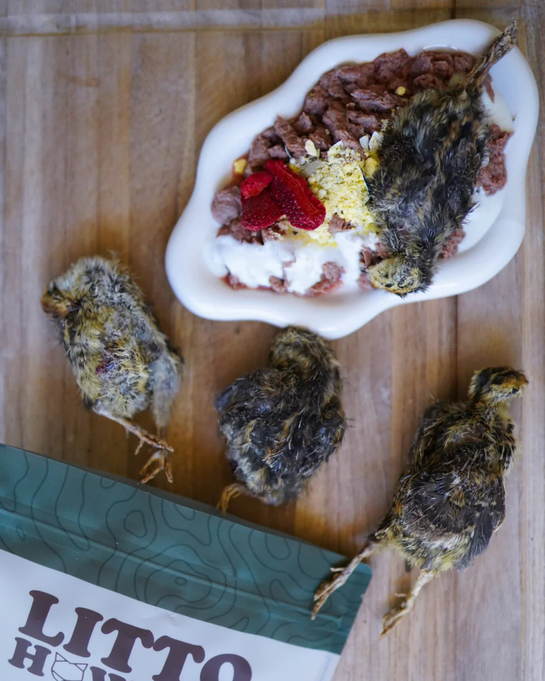 Freeze-Dried Whole Prey 2-Week Old Quail Chicks | Litto Howler