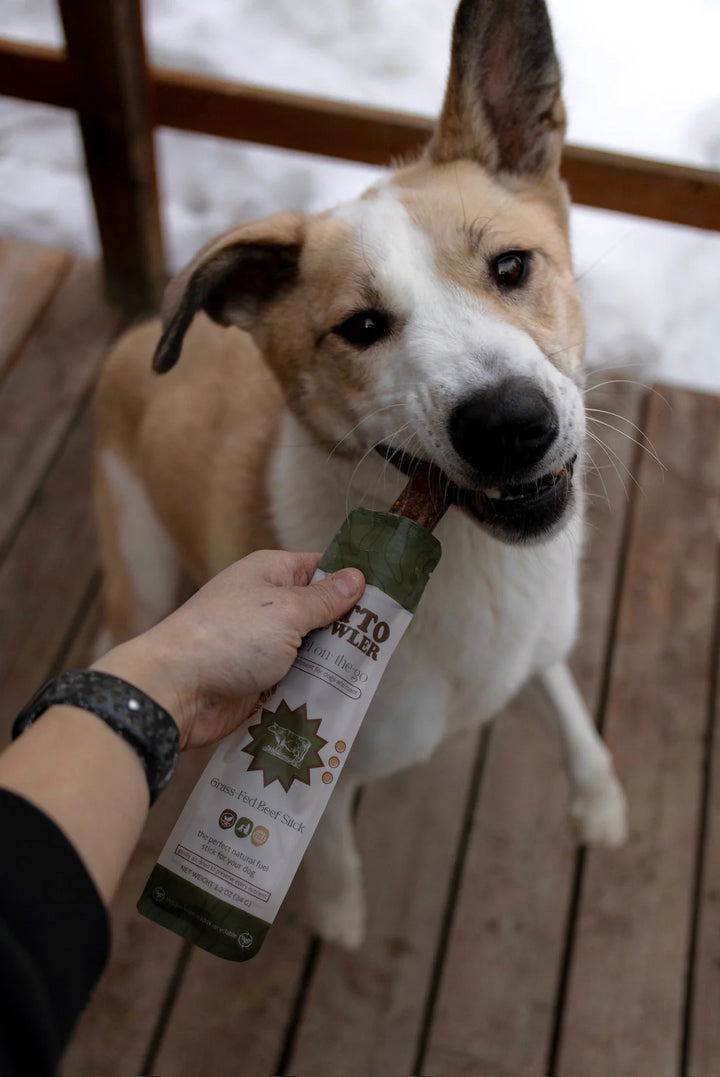 Grass-Fed Beef Stick