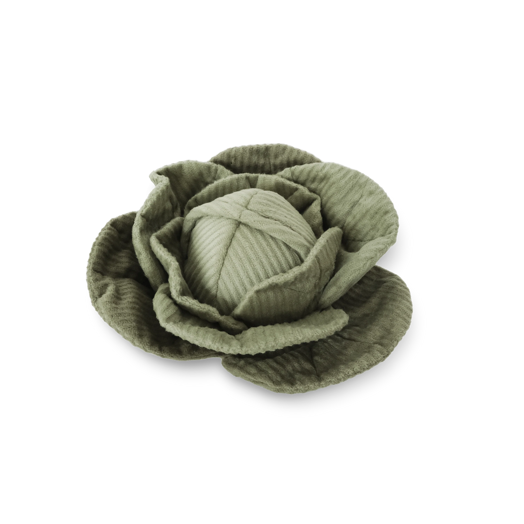 Cabbage Pop