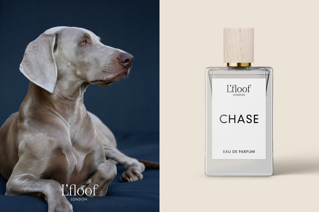 Chase Ruff Ruff Megaphone CHASE by L'floof London – THE RUFF CLUB