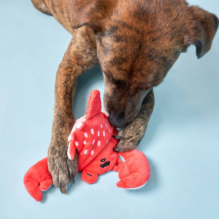 Uncle Crab Nosework Toy